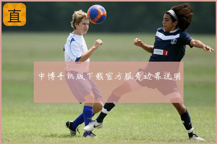 中博手机版下载官方服务边界说明